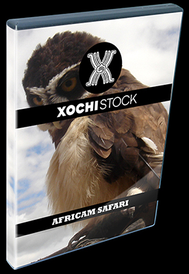 XochiStock® | World Traveler Images™ | Africam Safari