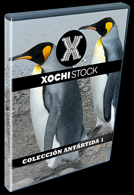 XochiStock® | World Traveler Images™ | Colección Antártida 1