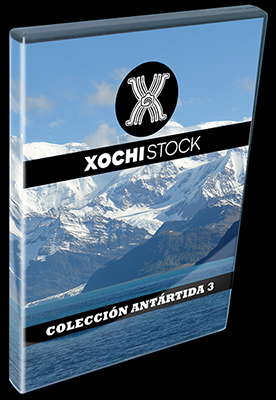 XochiStock® | World Traveler Images™ | Colección Antártida 3