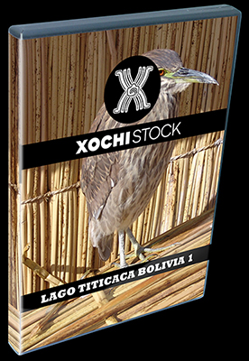 XochiStock® | World Traveler Images™ | Lago Titicaca Bolivia