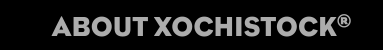 ABOUT XOCHISTOCK®